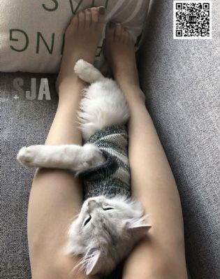两座山_剧情片免费在线观看
