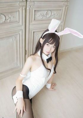 廉政行动_DVD免费播放