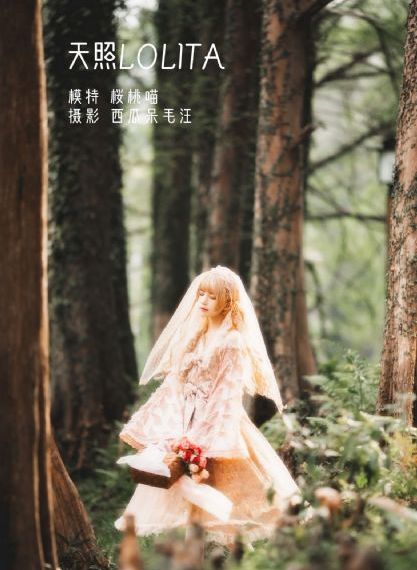 策驰电视剧_HD免费播放