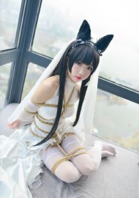 棹电影_4K手机在线观看